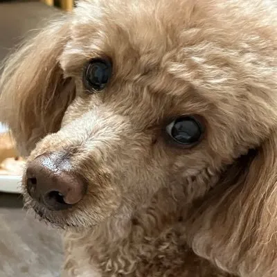 후기 이미지